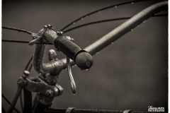 MG_3205-copie