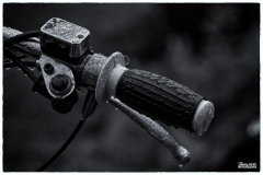 MG_3242-copie