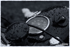 MG_3266-copie