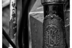 MG_3286-copie