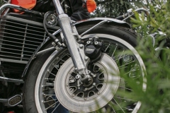 MG_3410-copie