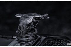 MG_2460-copie