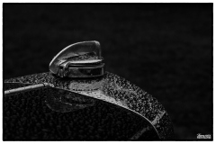 MG_3277-copie