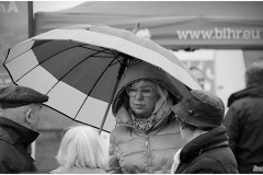 IMG_7919