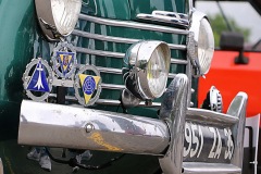 IMG_7969