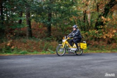 P6A7463-copie