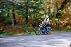 P6A7507-copie