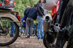 P6A7539-copie
