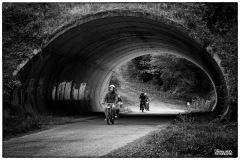 P6A3798-copie