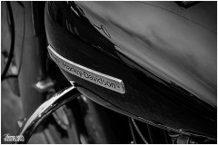 MOTOS-AUTOMNE050
