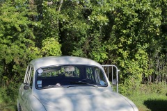 IMG_8546-001