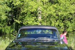 IMG_8568-001