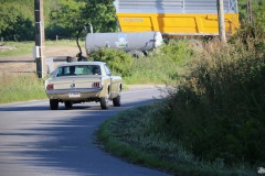 IMG_8688-001