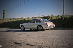 IMG_8719-001