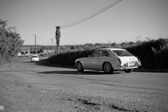 IMG_8720-001
