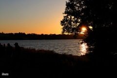 IMG_9018-001