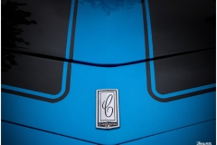 P6A3847-copie