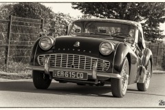 P6A5618-copie