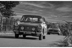 P6A5668-copie
