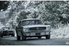 P6A5720-copie