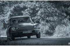 P6A5771-copie