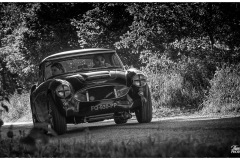 P6A5784-copie