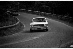 P6A5823-copie