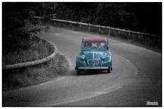 P6A5831-copie