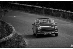 P6A5834-copie