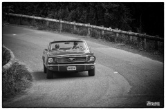 P6A5837-copie