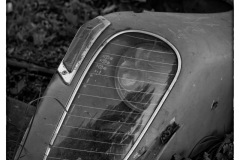 P6A6159-copie