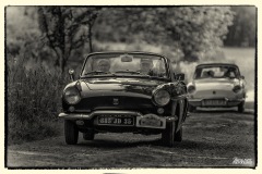 MG_4062-copie