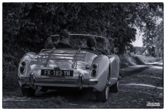 MG_4081-copie