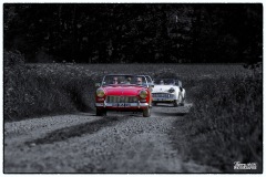 MG_4087-copie