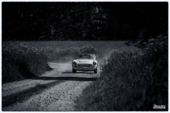 MG_4102-copie