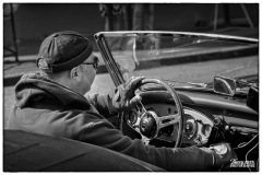 P6A1369-copie
