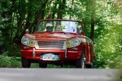 P6A1506-copie