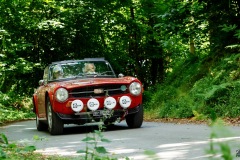 P6A1572-copie