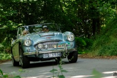 P6A1578-copie