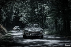 P6A1314-copie