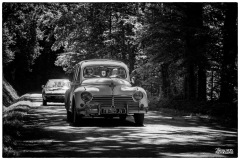 P6A1317-copie