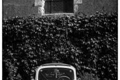P6A1362-copie