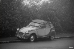 IMG_4310-001