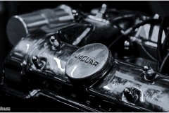 IMG_4330-001