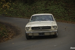 MG_7842-Edit