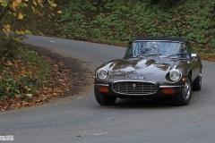 MG_7876-copie