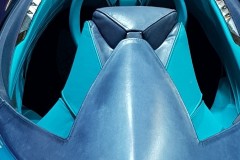 RETROMOBILE-308