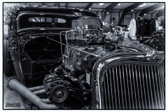 MG_1305-copie-2