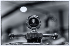 MG_1335-copie