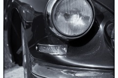 MG_1384-copie